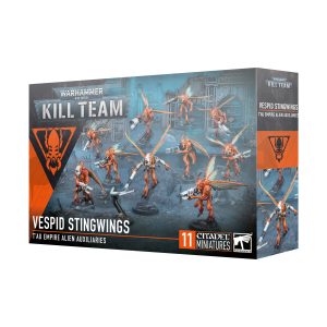 Kill Team: T'Au Empire Vespid Stingwings
